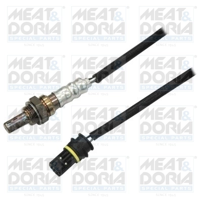 Oxygen Sensor